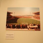 IMG 2975