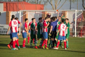 Tordesillas Cebrereña