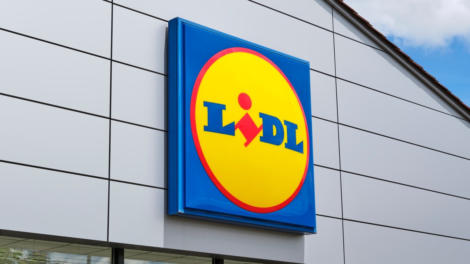 Esta nueva prenda viral de Lidl cuesta menos de 9 euros