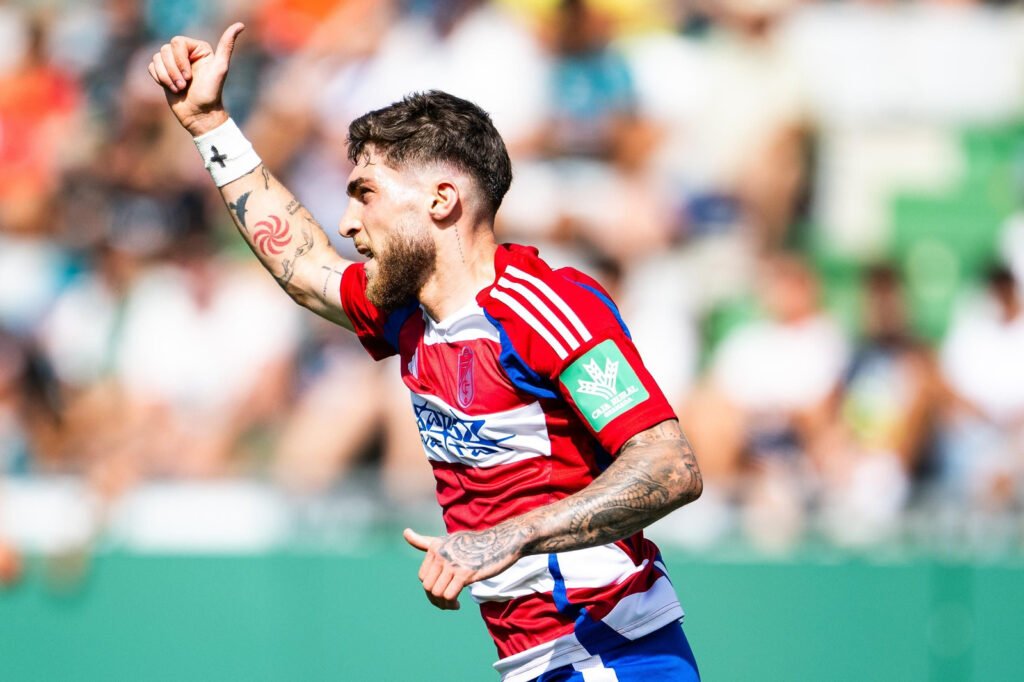 granada tsitaishvili