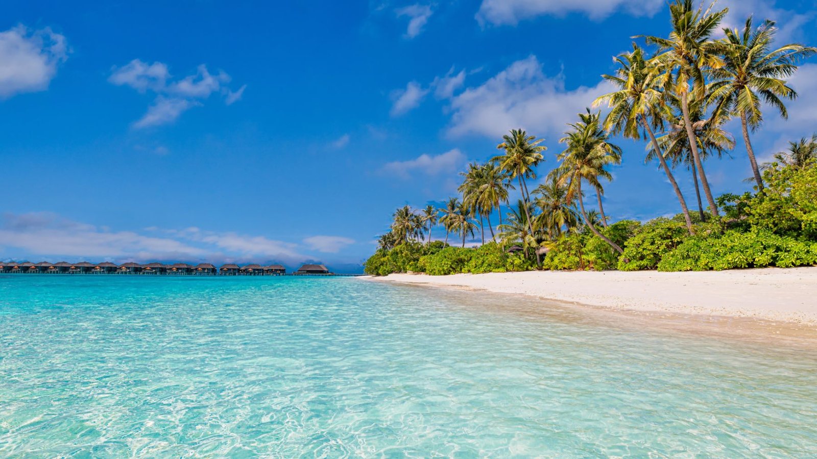 El mar no siempre fue azul: un estudio desvela qué color tenía antes
