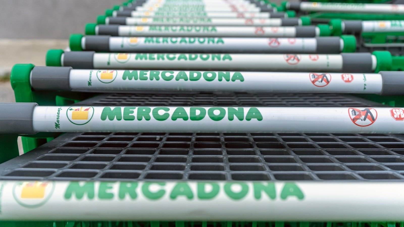 Colas en Mercadona: su nueva pizza cuesta menos de 3 euros