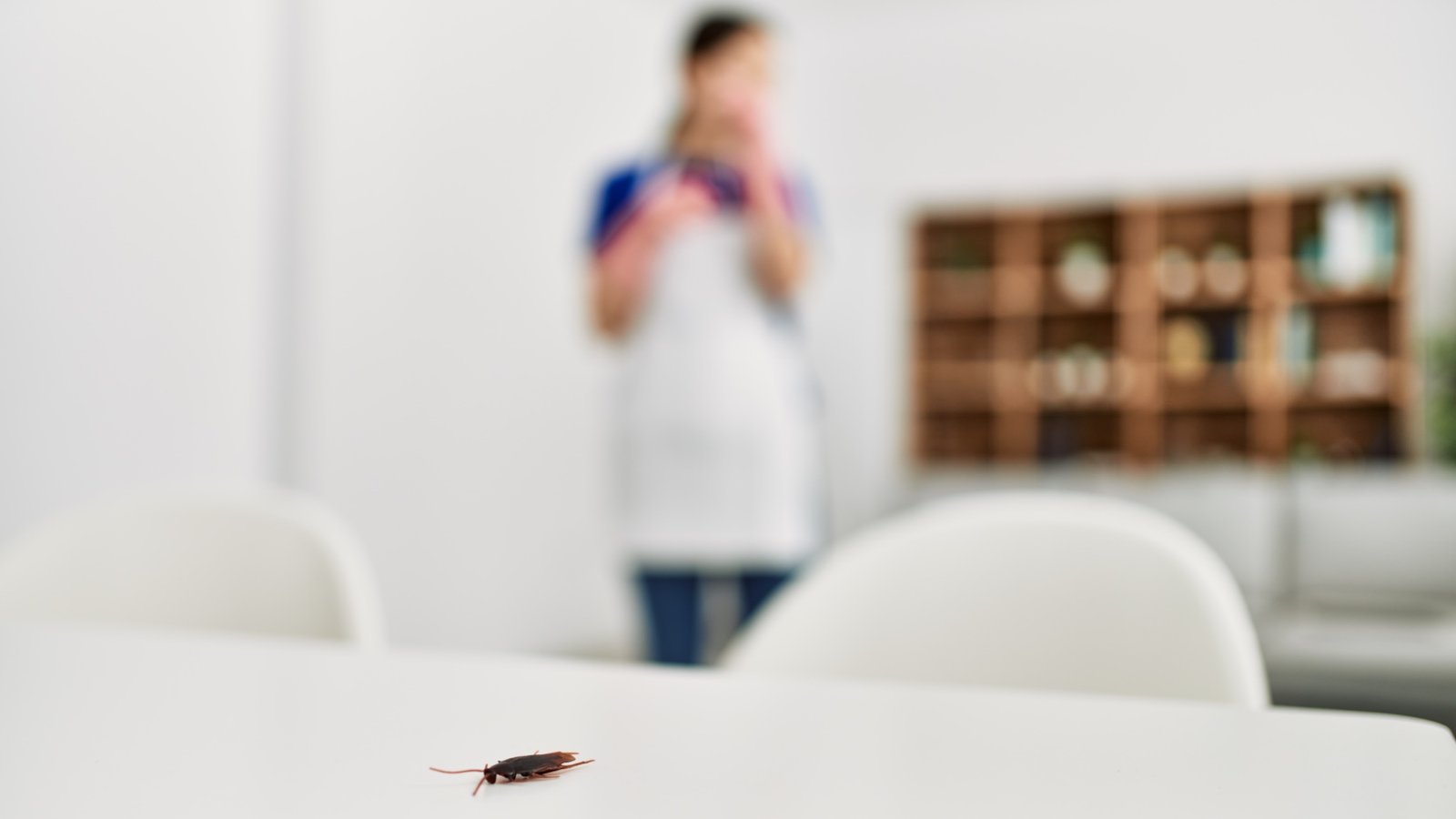 Adiós a las plagas: este truco de la abuela espanta a hormigas