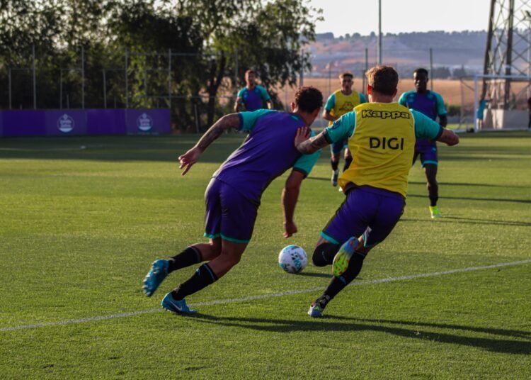 El césped de Zorrilla y una serie de catastróficas desdichas 2 Césped Valladolid