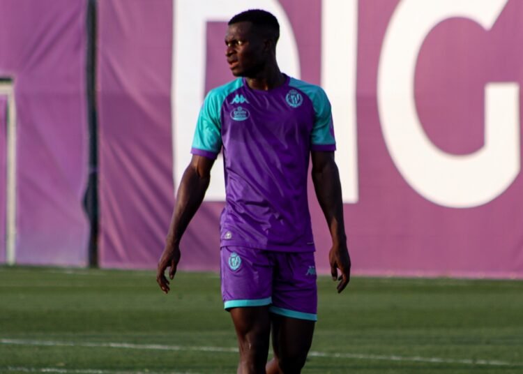 Alani Valladolid