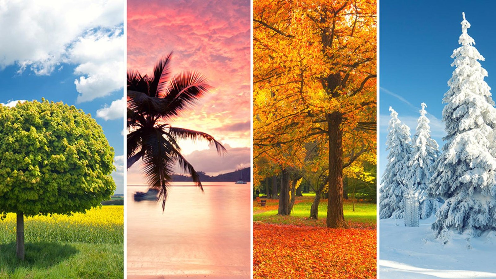 Generando estaciones nuevas nunca antes vistas