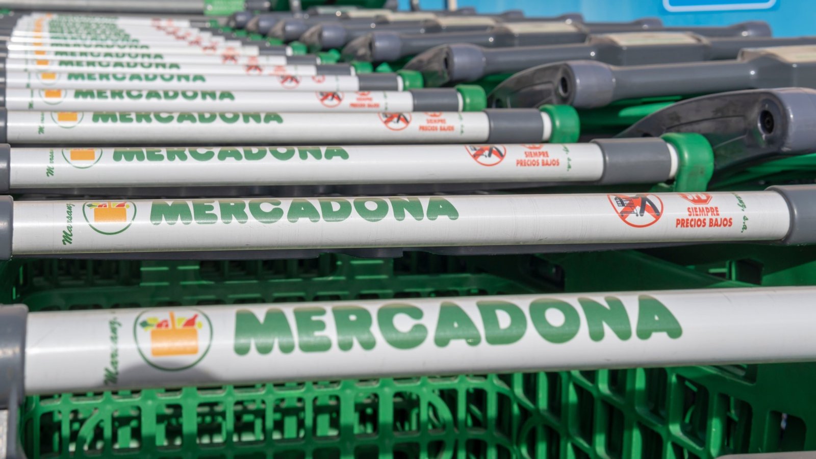 Mercadona lo vuelve a hacer: este ingrediente saludable es perfecto