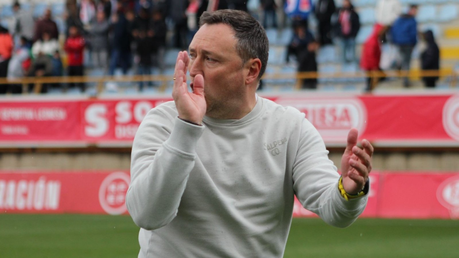 Raúl Llona, Cultural