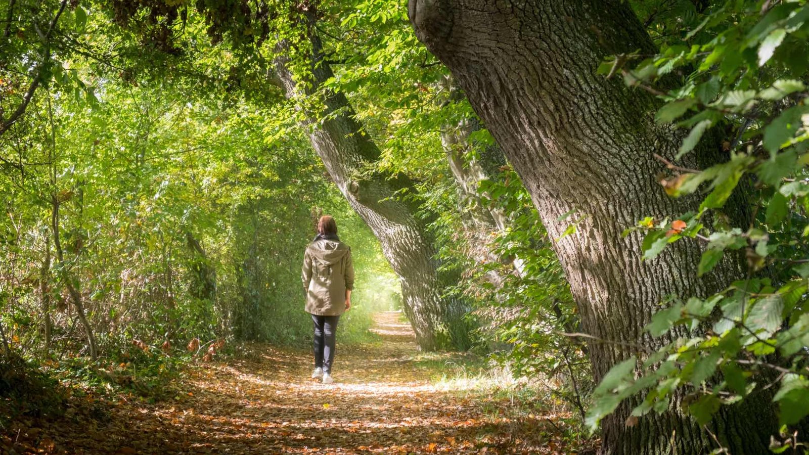 Recuperar la concentración de manera simple y en la naturaleza