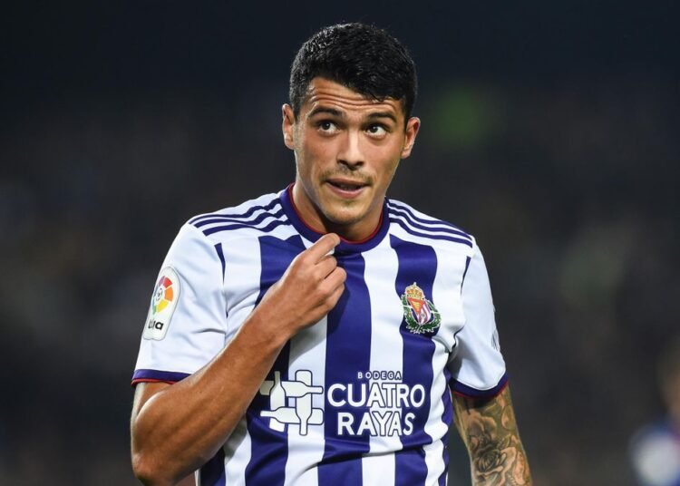 Porro Valladolid España