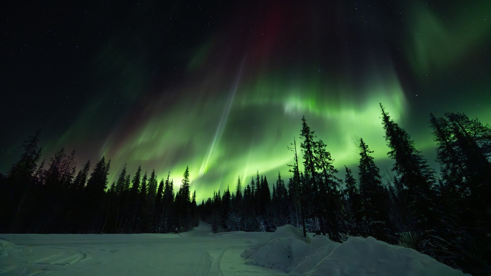 Auroras boreales en España: este fenómeno astronómico será visible