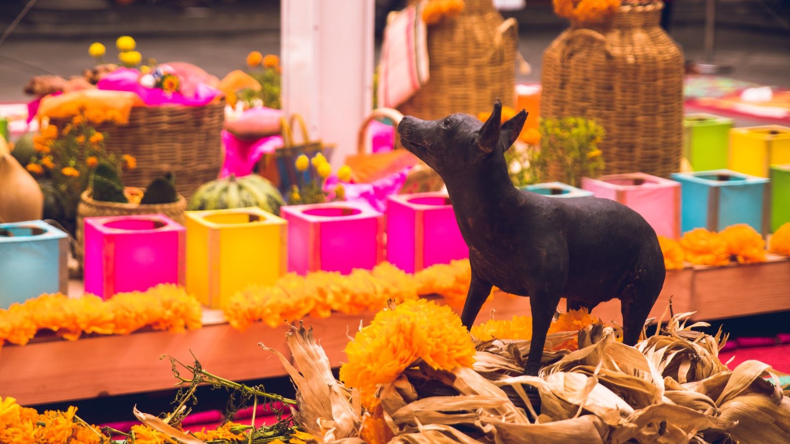 Día de Muertos 2025: esta es la fecha