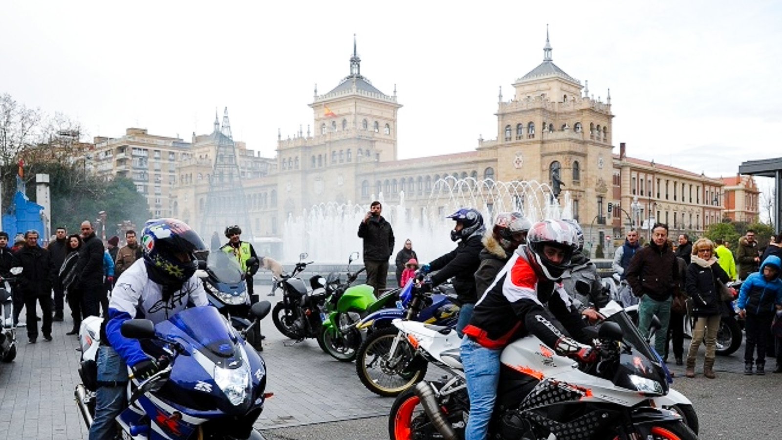 Pingüinos Valladolid