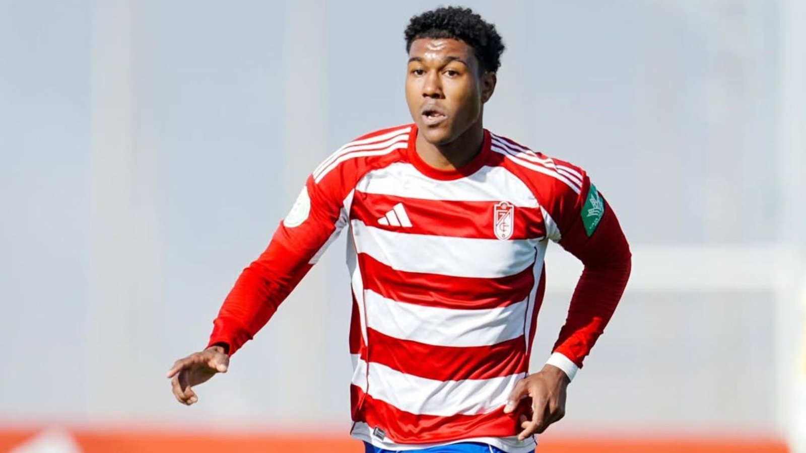 Seydou Fall, Granada