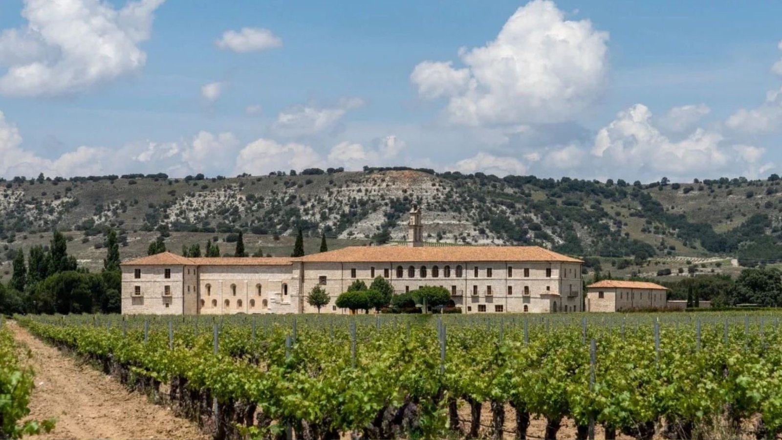 Milla de Oro del Vino